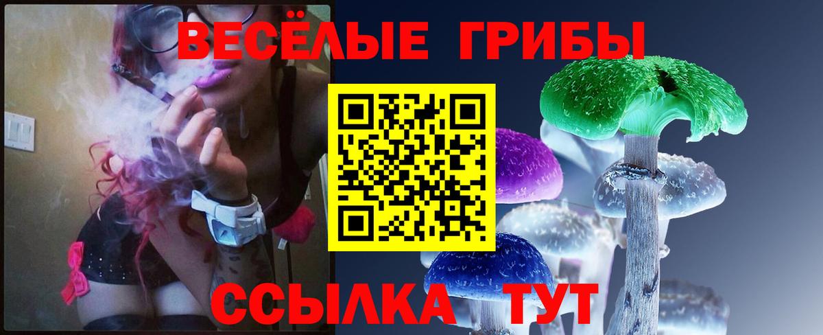 Псилоцибиновые грибы Magic Shrooms  Вход с VPN  Котельники 